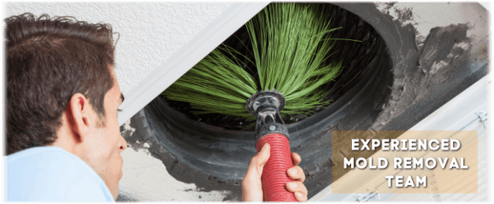 Air Duct Mold Removal in Gaithersburg MD